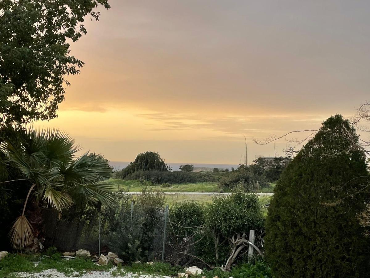 Villa Ambios Peyia Dış mekan fotoğraf